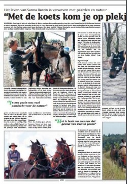 Afbeelding invoegen